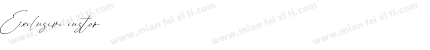 Exclusive custom字体转换